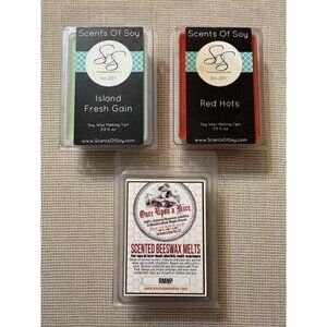 NEW Lot of 3 Wax Melts Scents Of Soy and Beeswax Melt Fresh Gain Red Hots RMNP
